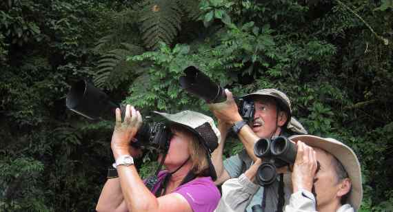 Suchen Sie nach Naturerlebnissen in Medellín - Colombia
