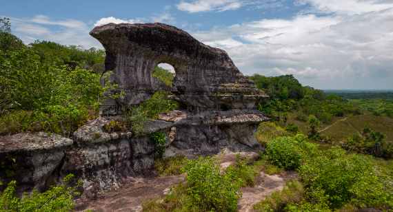 Search for nature experiences in Guaviare - Colombia