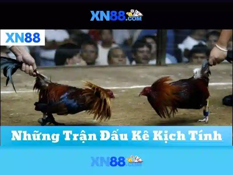 💎does iphone 15 plus have sim card slot💎 💎does iphone 15 plus have sim card slot💎