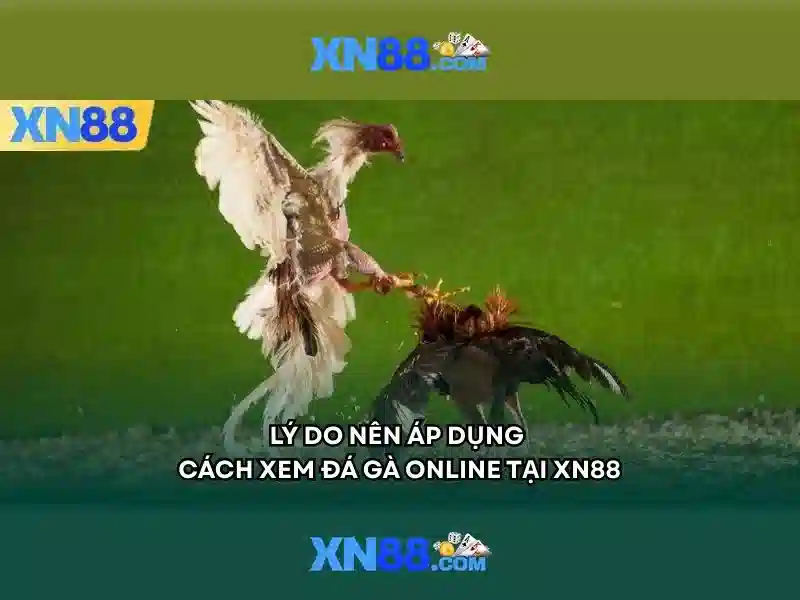 xn88 - Đánh giá nền tảng cược trực tuyến an toàn và tối ưu xn88 - Đánh giá nền tảng cược trực tuyến an toàn và tối ưu