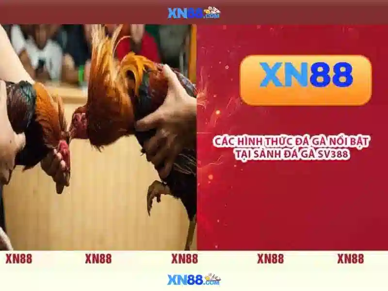 💎trang cá cược bóng đá #18💎 💎trang cá cược bóng đá #18💎