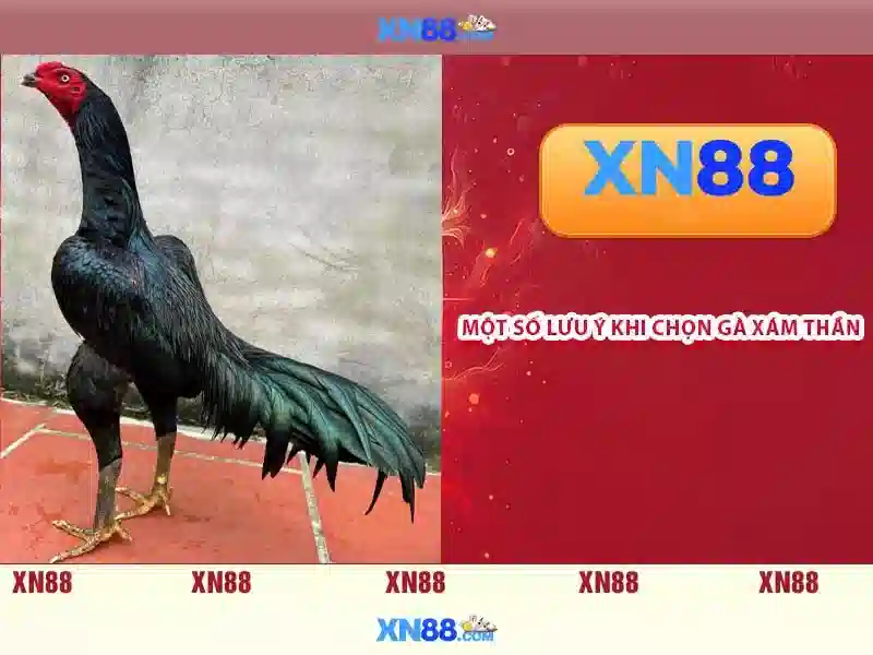 💎đến nhà bạn trai chơi và cái kết💎 💎đến nhà bạn trai chơi và cái kết💎