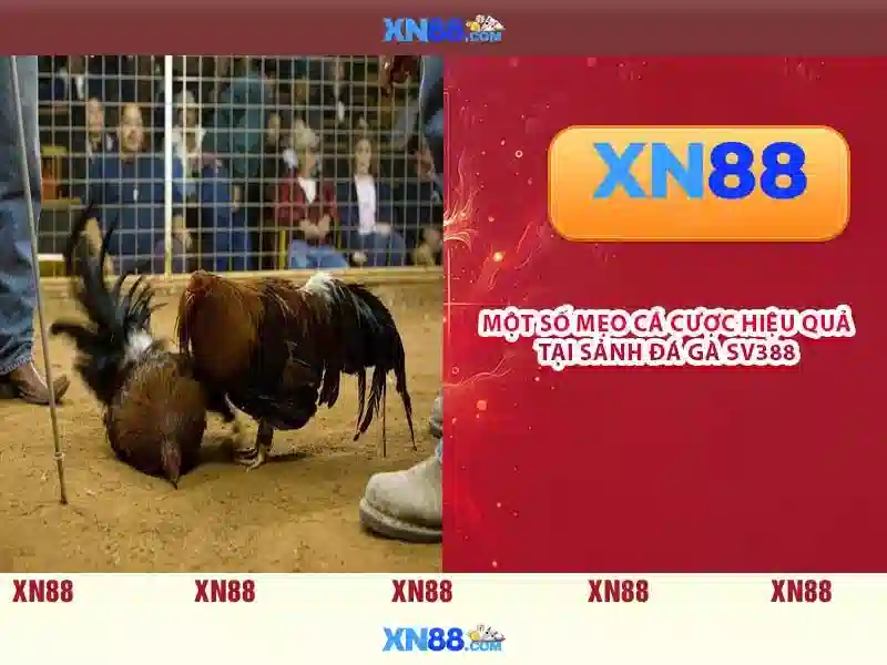 💎jackpot magic slots coins💎 💎jackpot magic slots coins💎