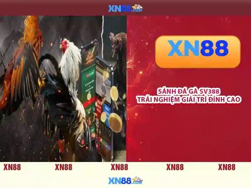 💎game nhà cái khuyến mãi thành viên mới💎 💎game nhà cái khuyến mãi thành viên mới💎