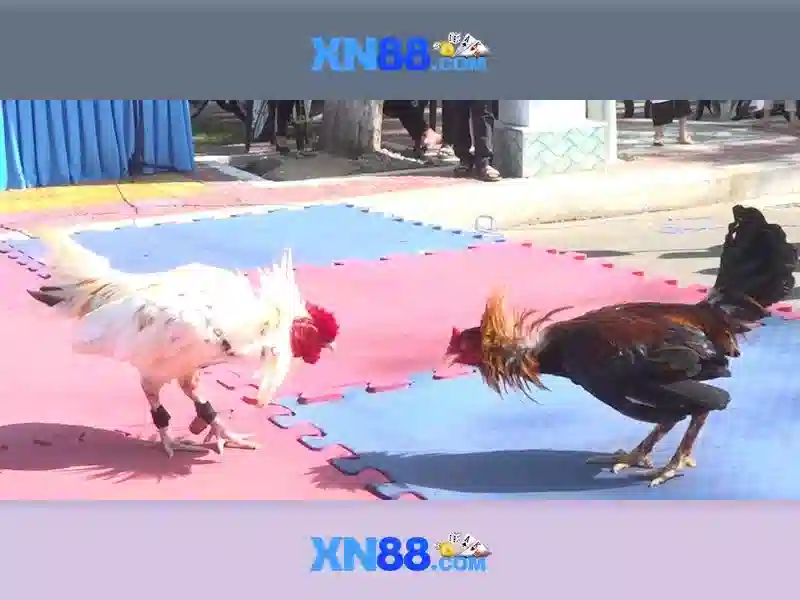 💎pg slot ทางเข้า💎 💎pg slot ทางเข้า💎