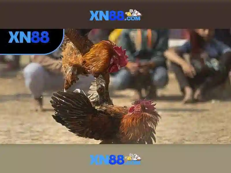 💎motherboard with 2 pcie 4.0 x16 slots💎 💎motherboard with 2 pcie 4.0 x16 slots💎