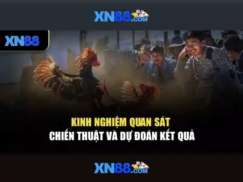 💎admiral casino highest rtp slots💎 💎admiral casino highest rtp slots💎