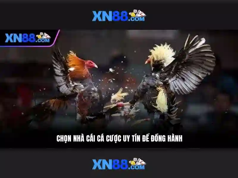 💎compression shorts with cup slot💎 💎compression shorts with cup slot💎