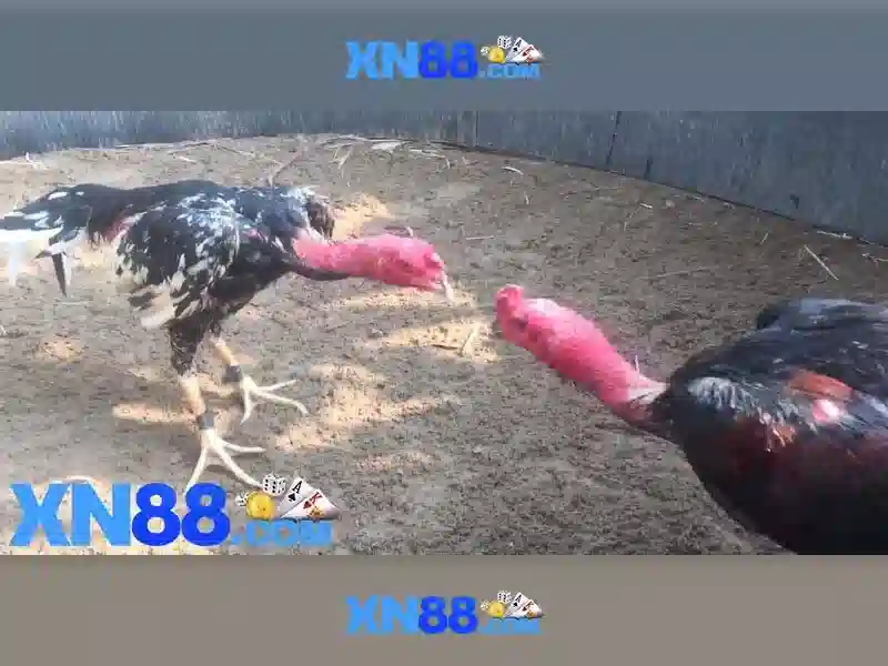 💎aladdin slots mobile app💎 💎aladdin slots mobile app💎