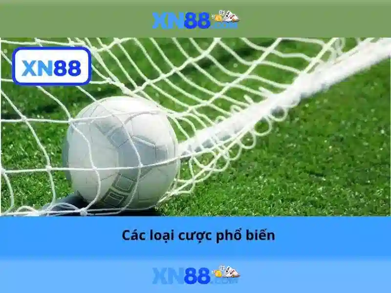 💎nhà cái 88 .icu💎 💎nhà cái 88 .icu💎