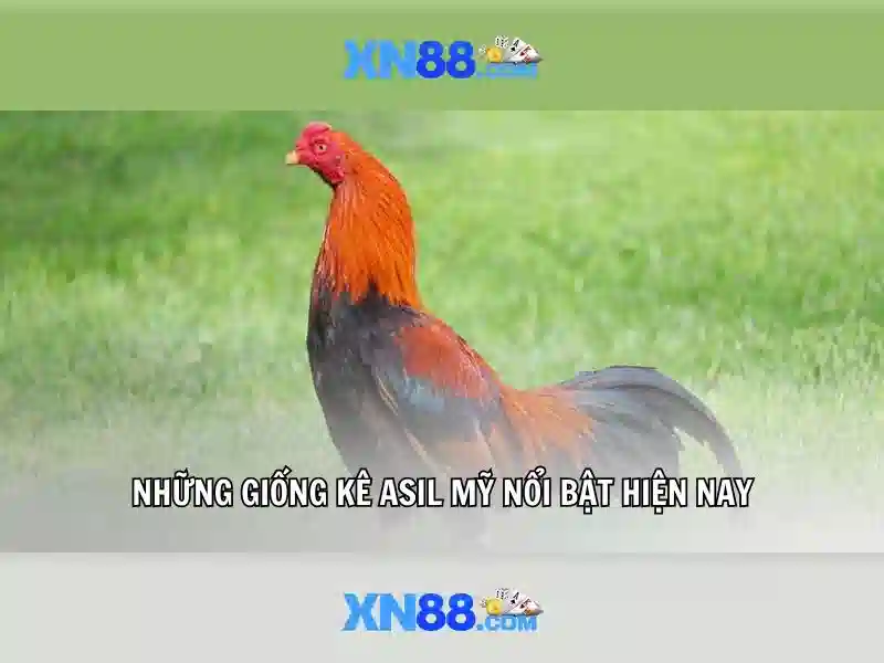 Sơ đồ trang web XML của XN88 – Tối Ưu Hóa SEO cho xn88 app - xn88 Sơ đồ trang web XML của XN88 – Tối Ưu Hóa SEO cho xn88 app - xn88