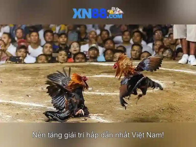 💎who is ruby slots husband💎 💎who is ruby slots husband💎