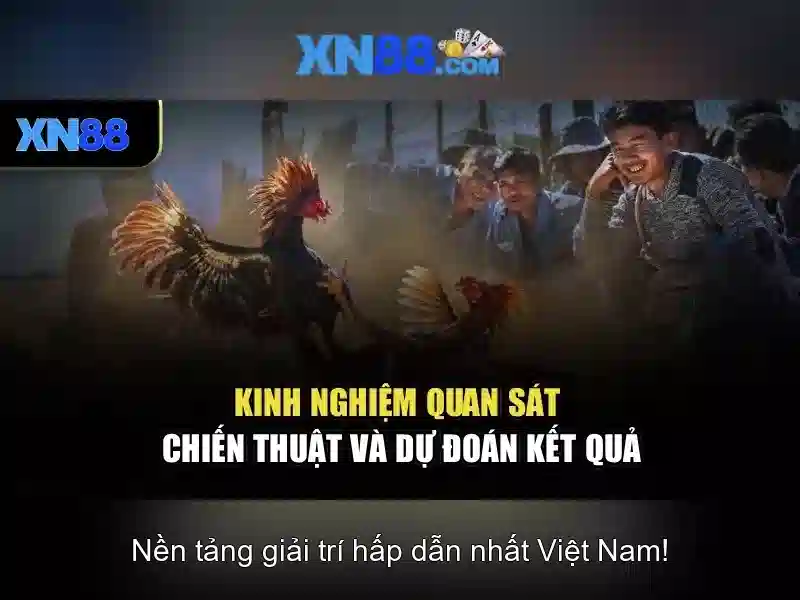 💎sửa chữa cải tạo nhà cổ namtrinh.com💎 💎sửa chữa cải tạo nhà cổ namtrinh.com💎