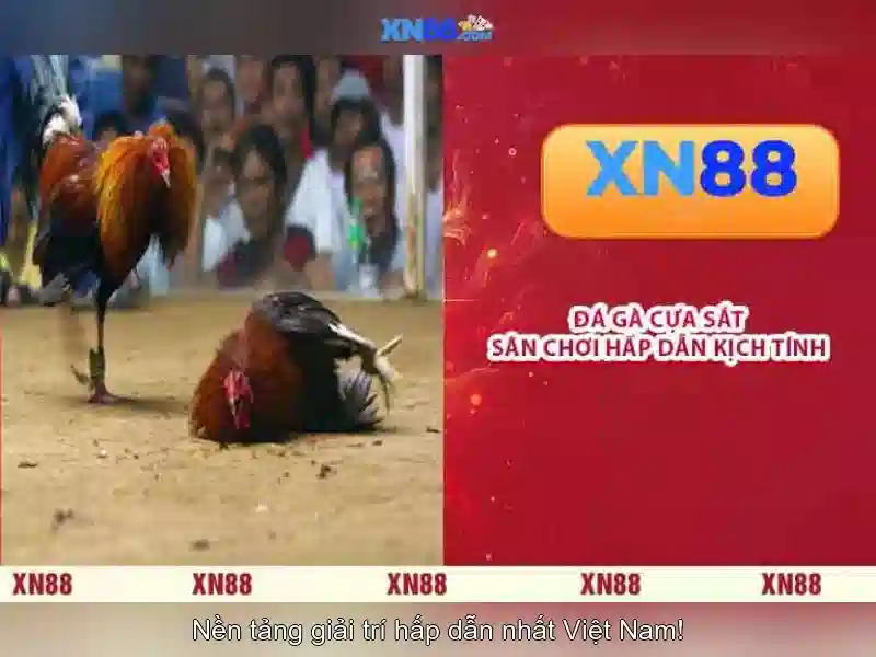 💎game show slots online💎 💎game show slots online💎