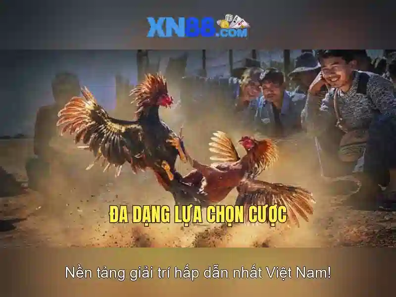 💎sông bạc liêu💎 💎sông bạc liêu💎