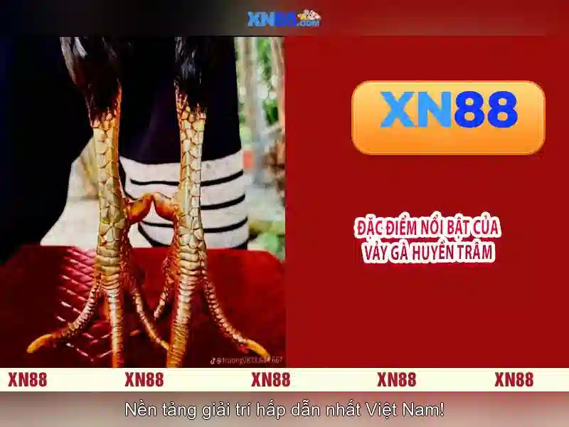 💎action jack slot game💎 💎action jack slot game💎