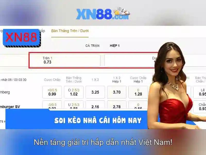 💎điều khoản điều kiện nhà cái💎 💎điều khoản điều kiện nhà cái💎