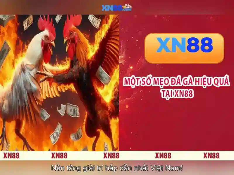 💎sòng bạc trực tuyến tốt nhất cvproducts💎 💎sòng bạc trực tuyến tốt nhất cvproducts💎