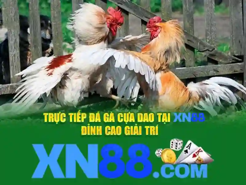 XN88 Có Uy Tín Không? Luật Chơi Slot XN88 Đơn Giản, Dễ Trúng - xn88 XN88 Có Uy Tín Không? Luật Chơi Slot XN88 Đơn Giản, Dễ Trúng - xn88